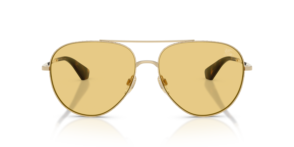 BE3172 - 110985 sunglasses - view 6