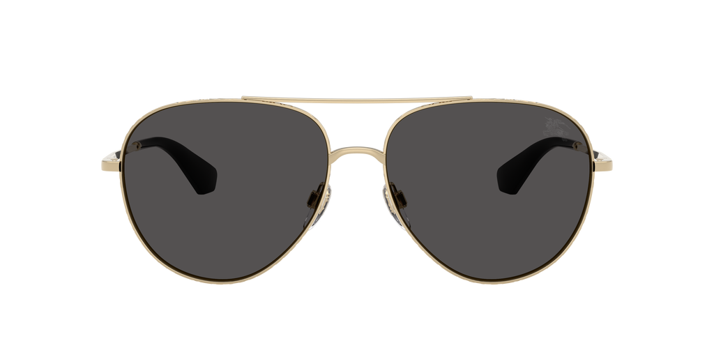 BE3172 - 110987 sunglasses - view 2