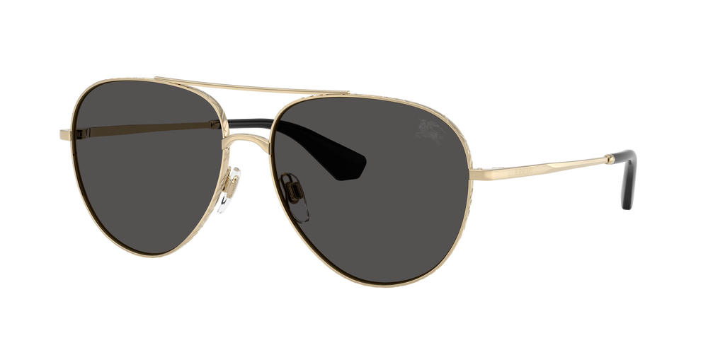 BE3172 - 110987 sunglasses - view 3