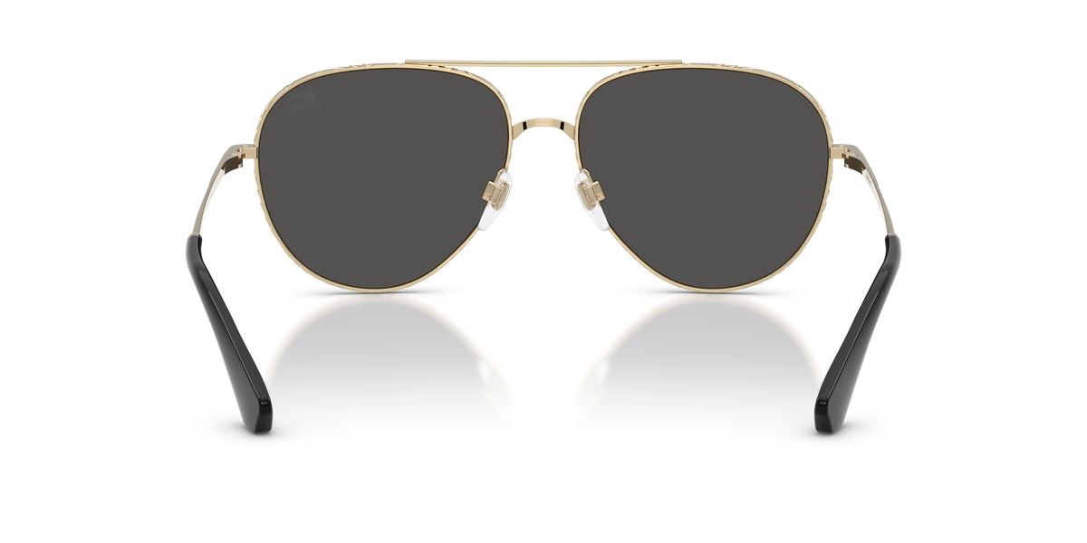 BE3172 - 110987 sunglasses - view 4