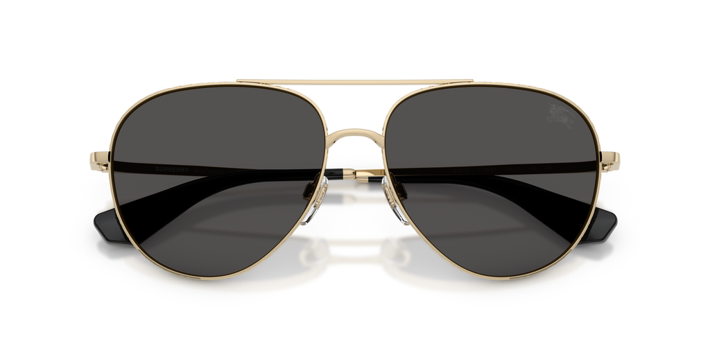 BE3172 - 110987 sunglasses - view 5