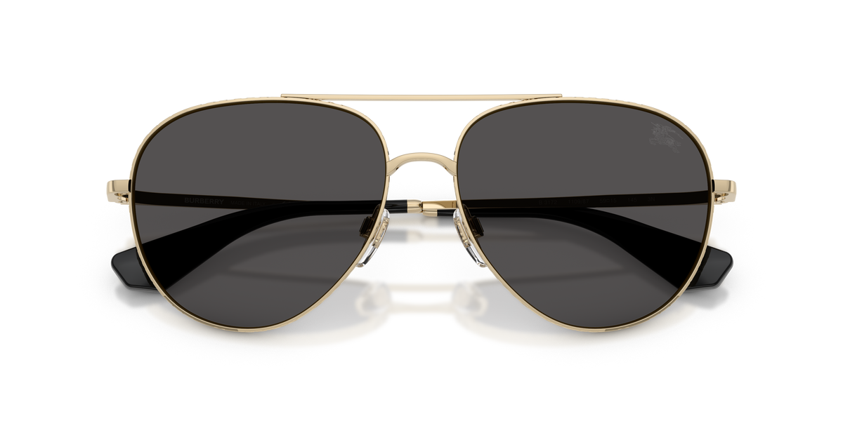 BE3172 - 110987 sunglasses - view 5