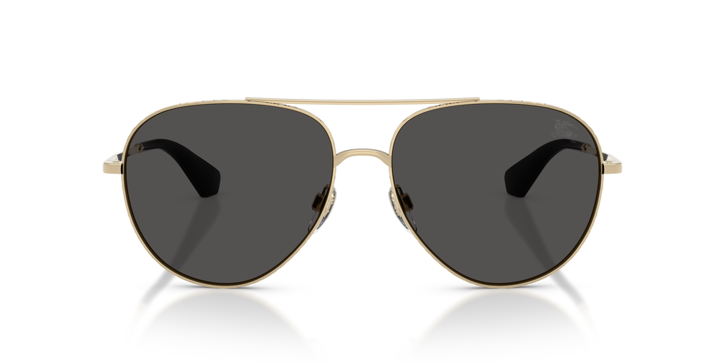 BE3172 - 110987 sunglasses - view 6