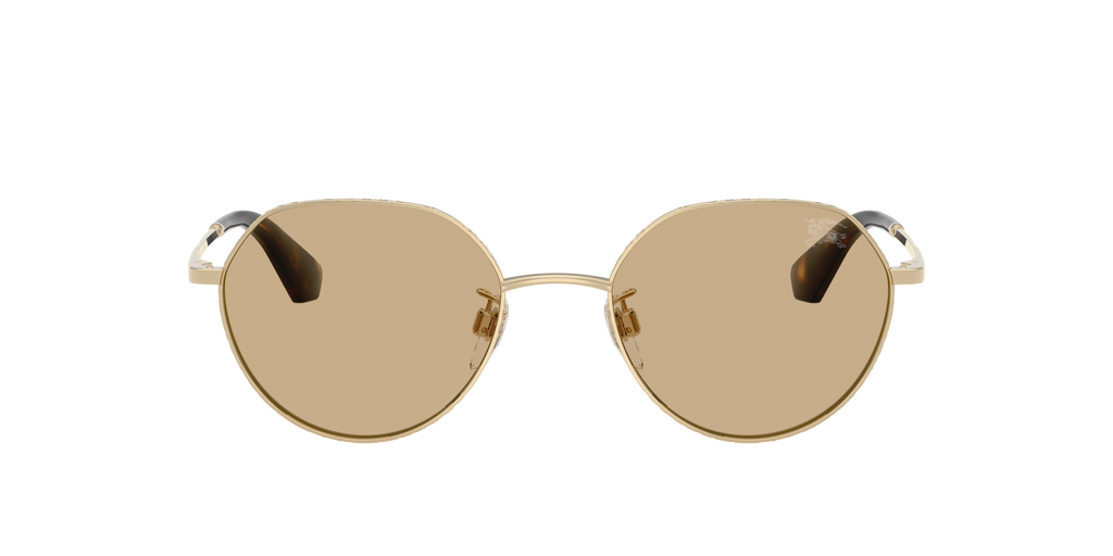 BE3173D - 110973 sunglasses - view 2