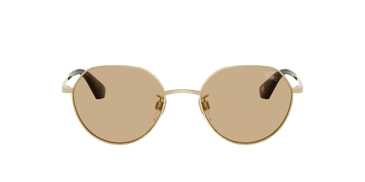 BE3173D - 110973 sunglasses - view 2