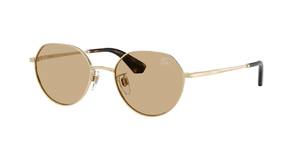 BE3173D - 110973 sunglasses - view 3