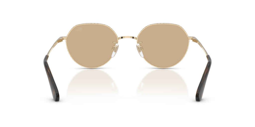 BE3173D - 110973 sunglasses - view 4