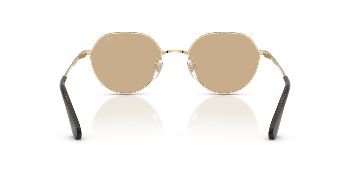 BE3173D - 110973 sunglasses - view 4