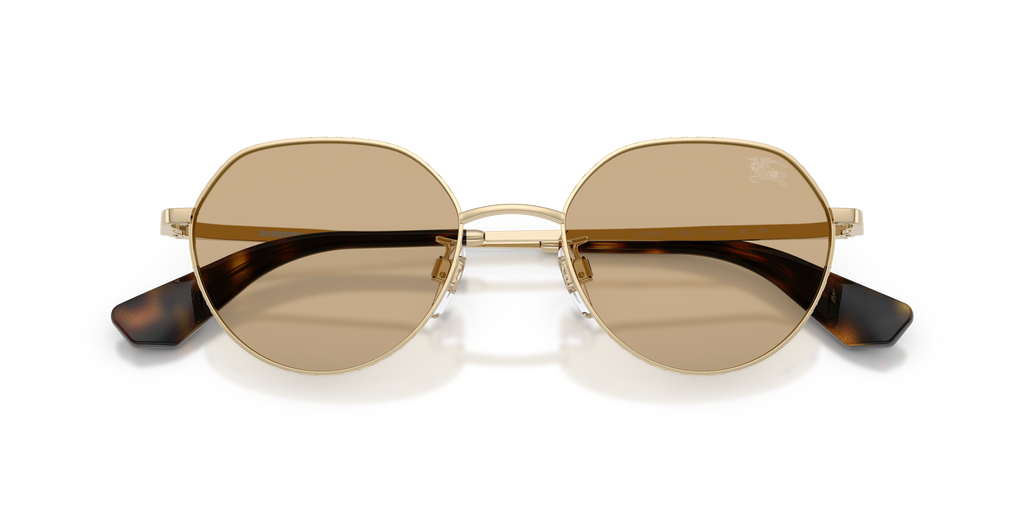 BE3173D - 110973 sunglasses - view 5