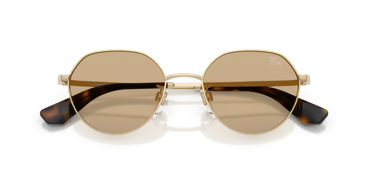 BE3173D - 110973 sunglasses - view 5