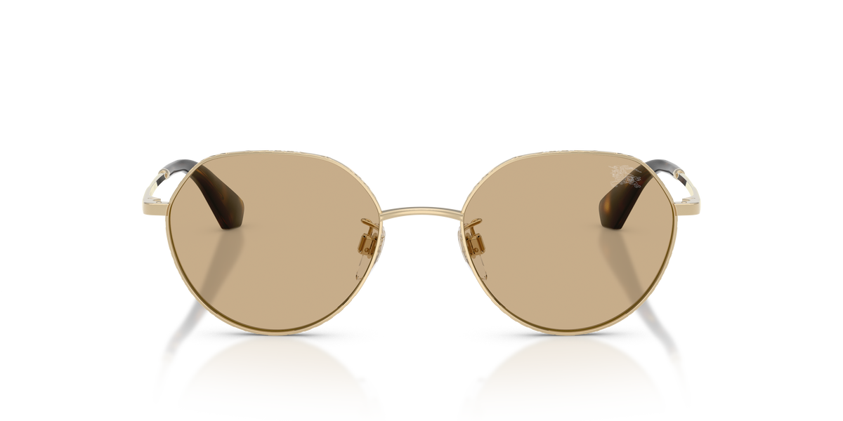 BE3173D - 110973 sunglasses - view 6