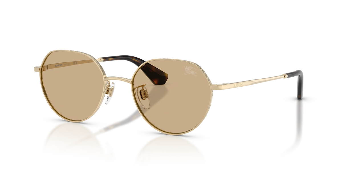 BE3173D - 110973 sunglasses - view 8