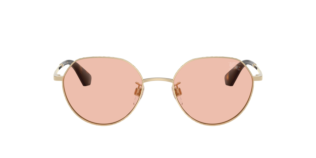 BE3173D - 110984 sunglasses - view 3