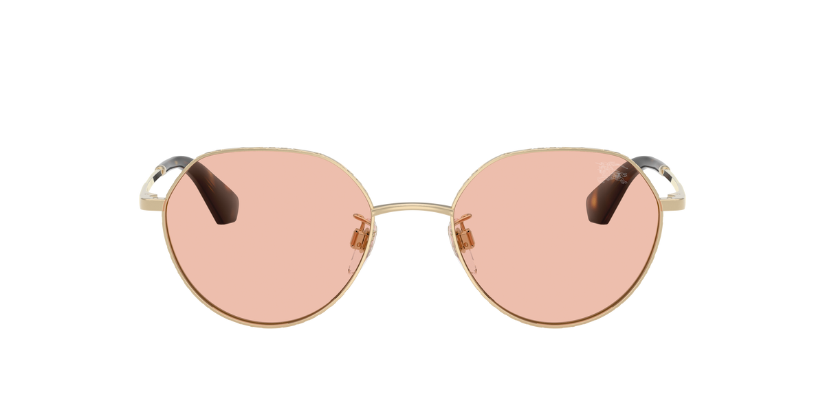 BE3173D - 110984 sunglasses - view 3