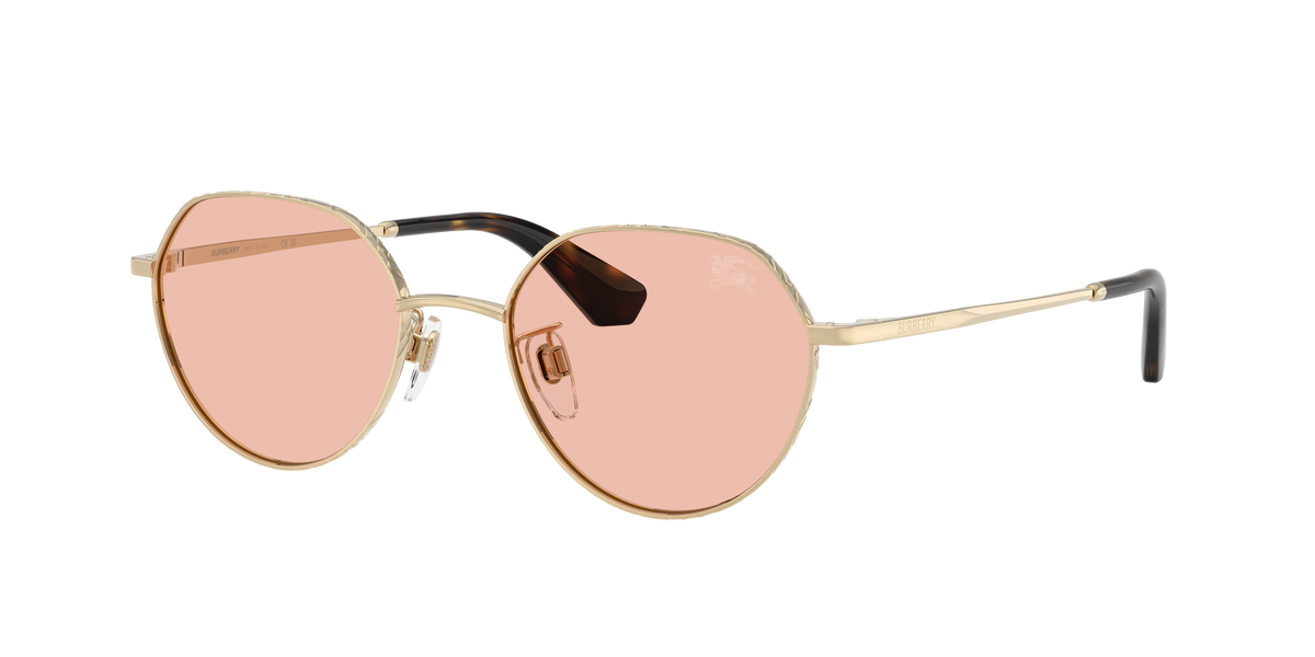 BE3173D - 110984 sunglasses - view 4