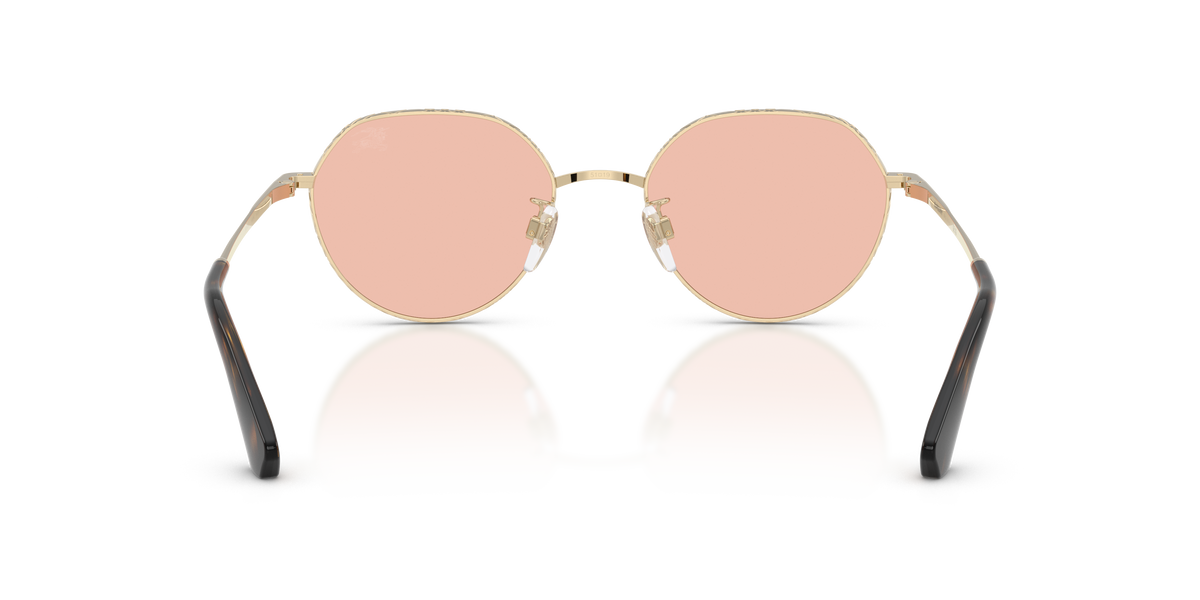 BE3173D - 110984 sunglasses - view 12