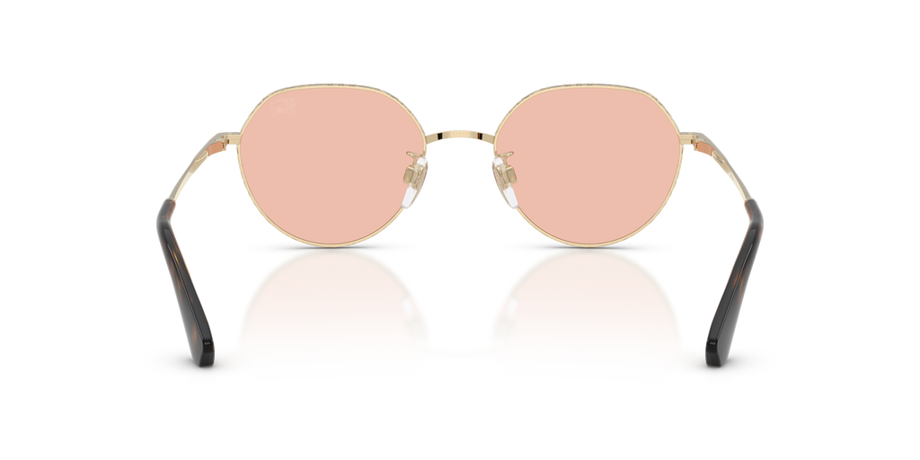 BE3173D - 110984 sunglasses - view 5