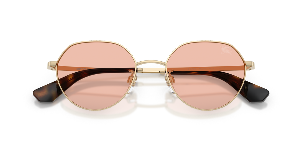 BE3173D - 110984 sunglasses - view 6