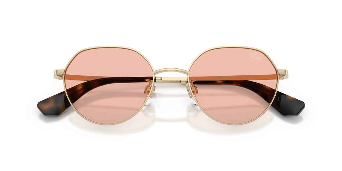 BE3173D - 110984 sunglasses - view 6