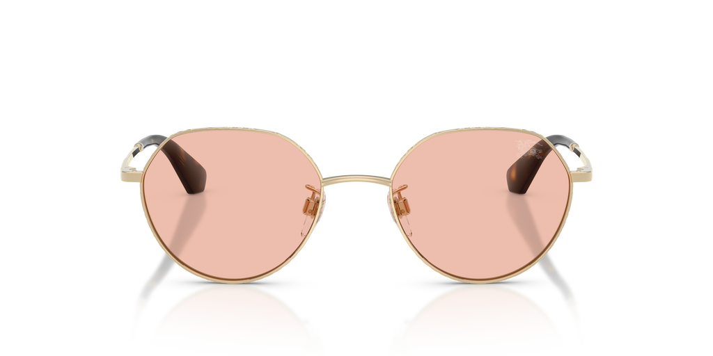 BE3173D - 110984 sunglasses - view 7