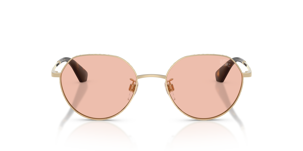 BE3173D - 110984 sunglasses - view 14