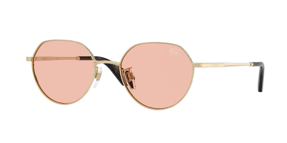BE3173D - 110984 sunglasses - view 2