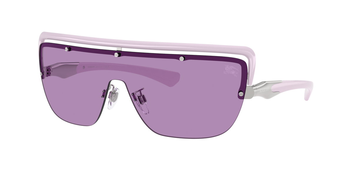 BE3175 - 100569 sunglasses - view 3