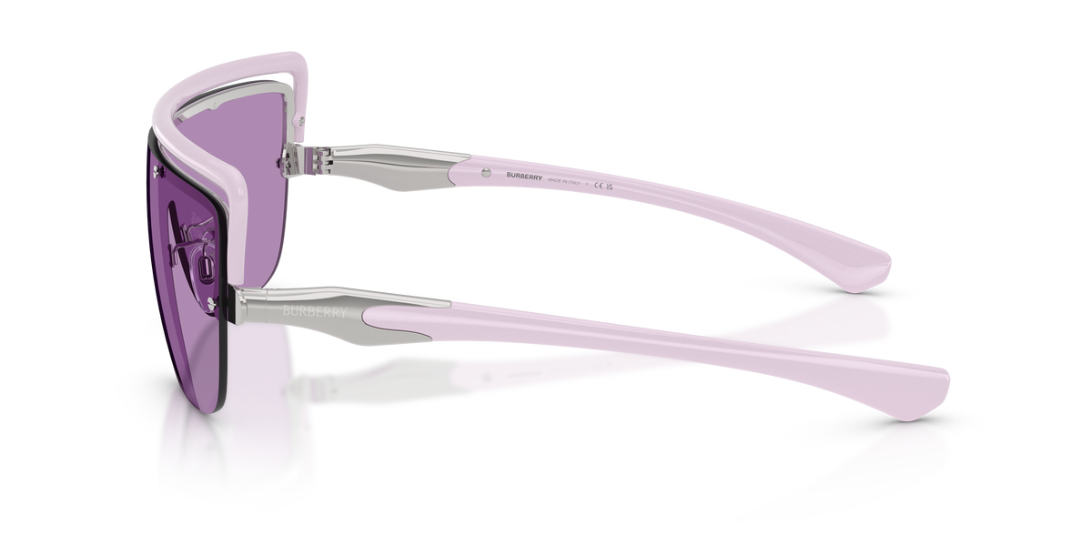 BE3175 - 100569 sunglasses - view 7