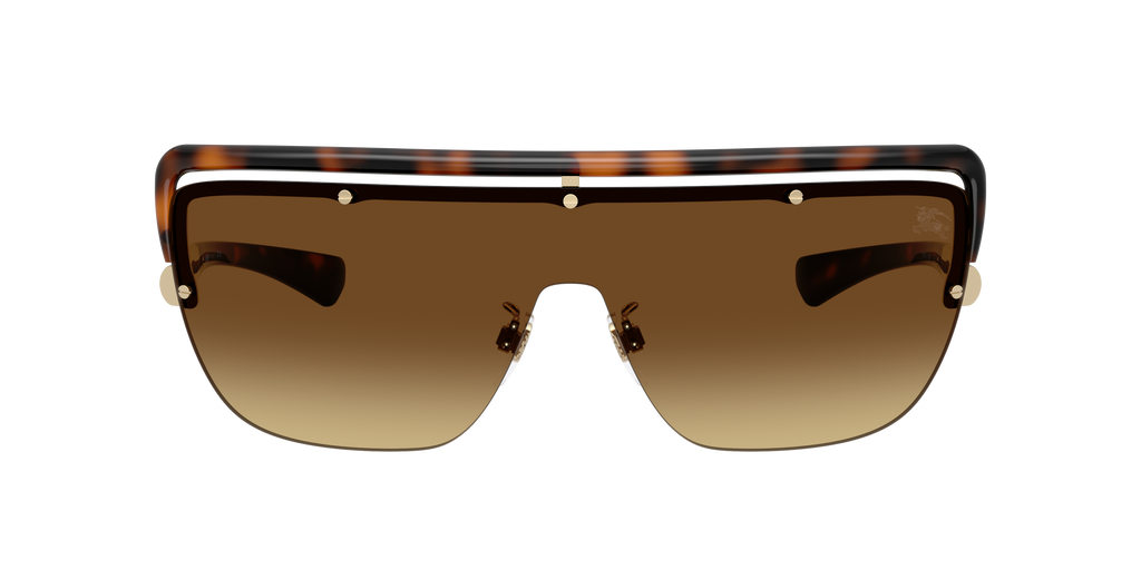 BE3175 - 110913 sunglasses - view 2
