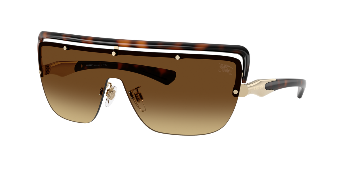 BE3175 - 110913 sunglasses - view 3