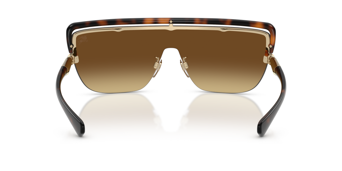 BE3175 - 110913 sunglasses - view 4