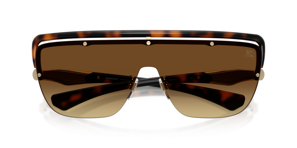 BE3175 - 110913 sunglasses - view 5
