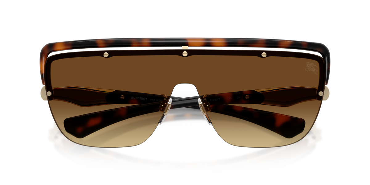 BE3175 - 110913 sunglasses - view 5