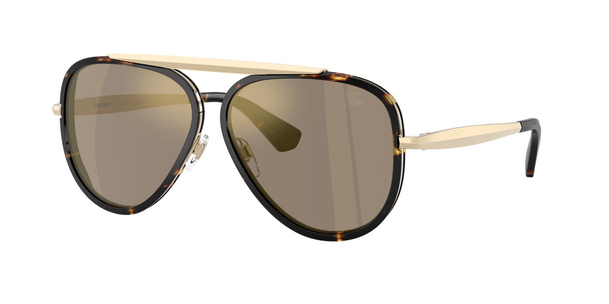 BE3176 - 11095A sunglasses - view 3