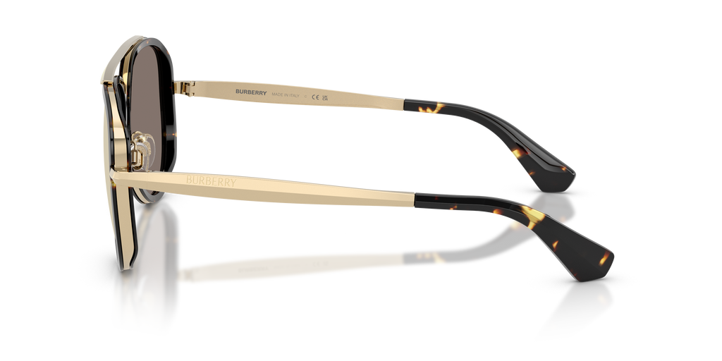 BE3176 - 11095A sunglasses - view 7