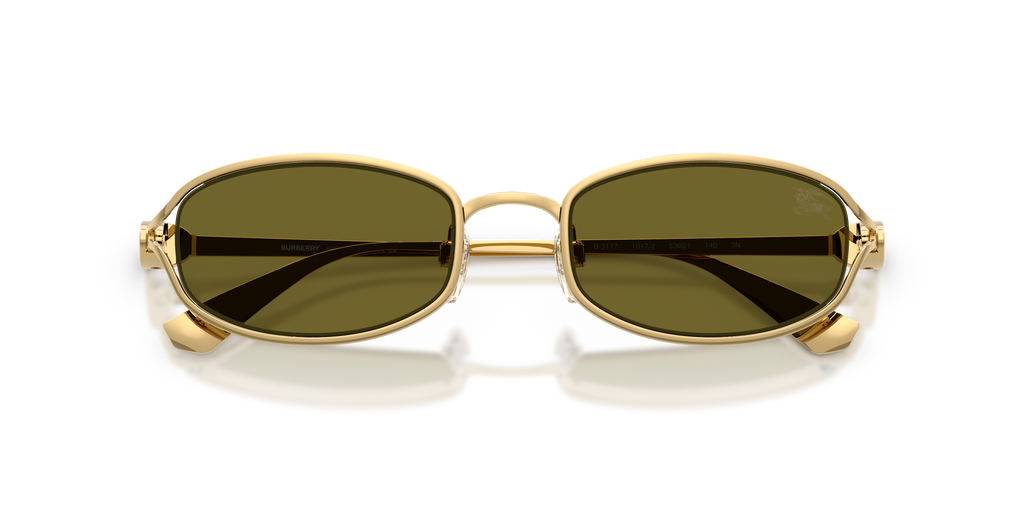 BE3177 - 1017/2 sunglasses - view 5