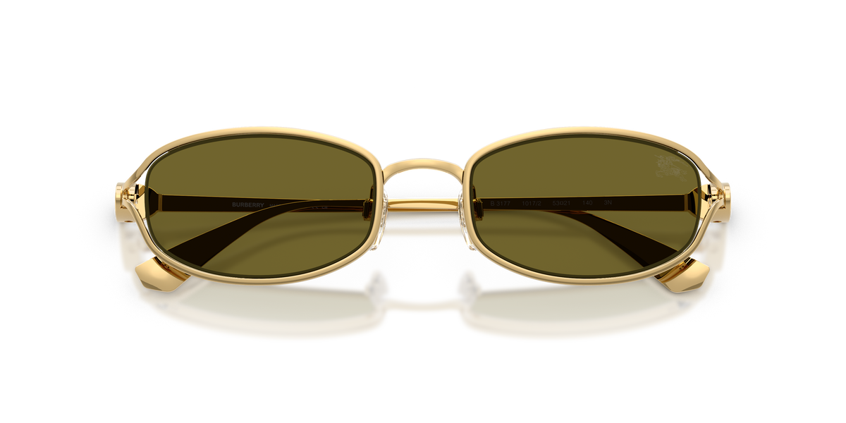 BE3177 - 1017/2 sunglasses - view 5