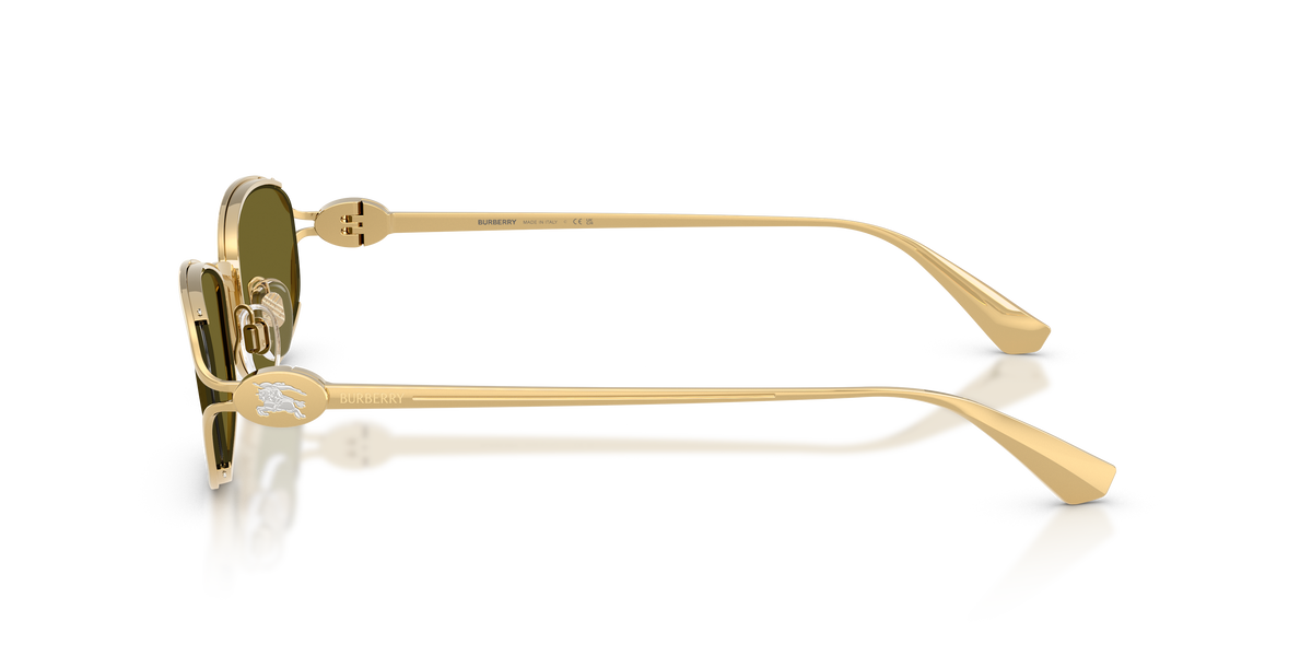BE3177 - 1017/2 sunglasses - view 7