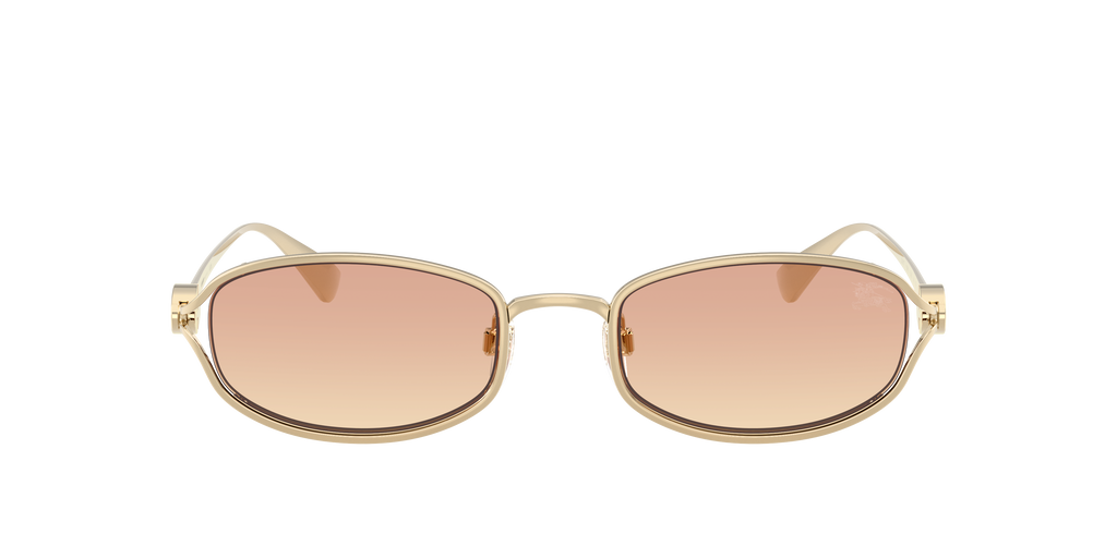 BE3177 - 110913 sunglasses - view 2