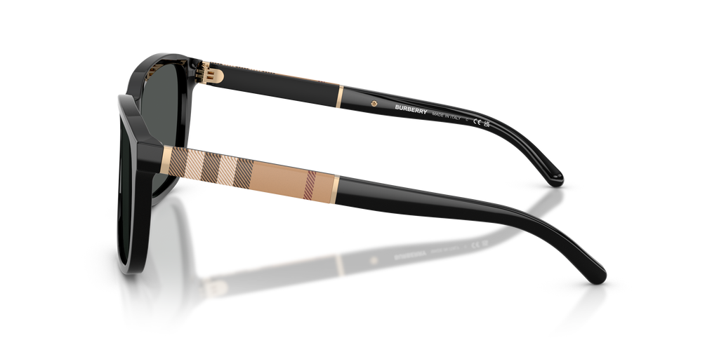 BE4181 - 300187 sunglasses - view 19