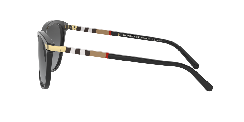 BE4216 - 3001T3 sunglasses - view 5