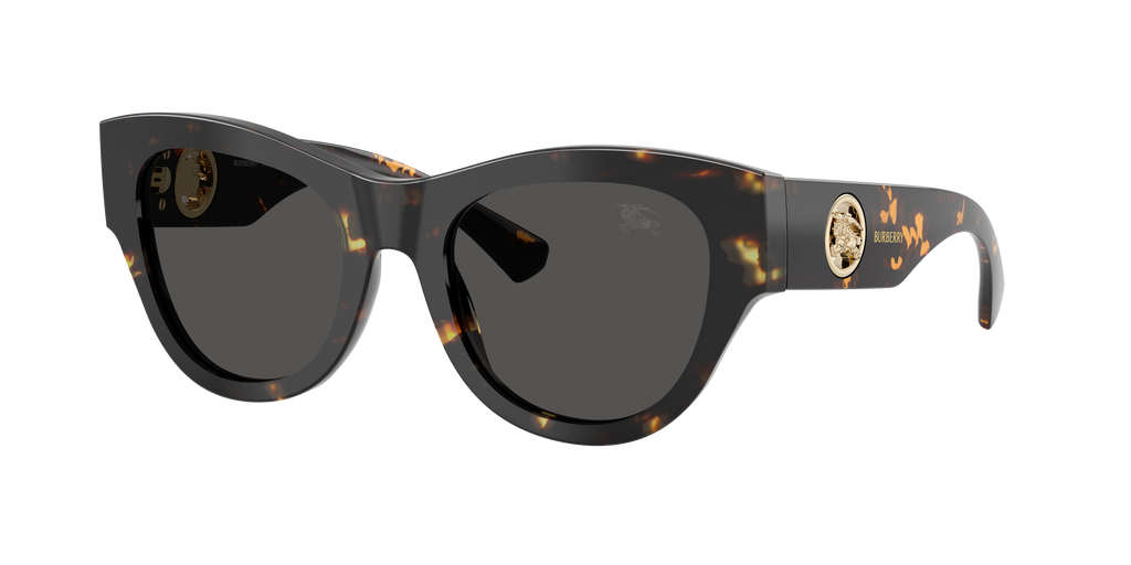 BE4491 - 410687 sunglasses - view 3
