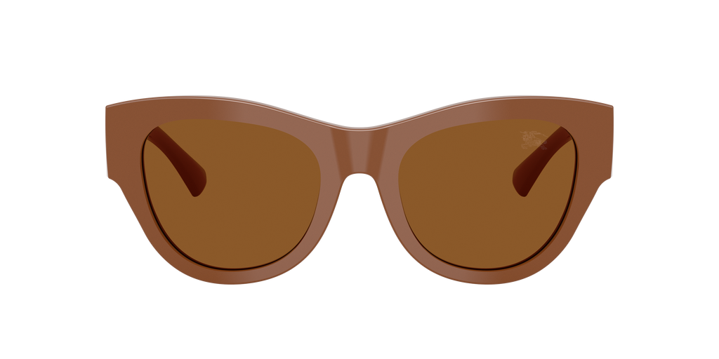 BE4491 - 422273 sunglasses - view 2