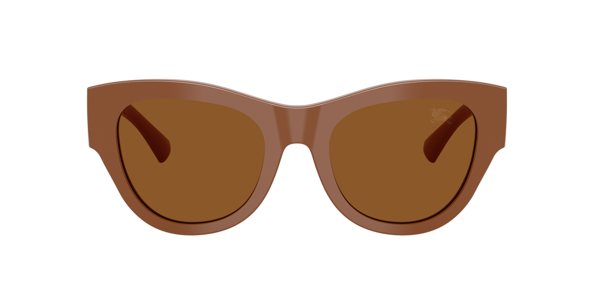 BE4491 - 422273 sunglasses - view 2
