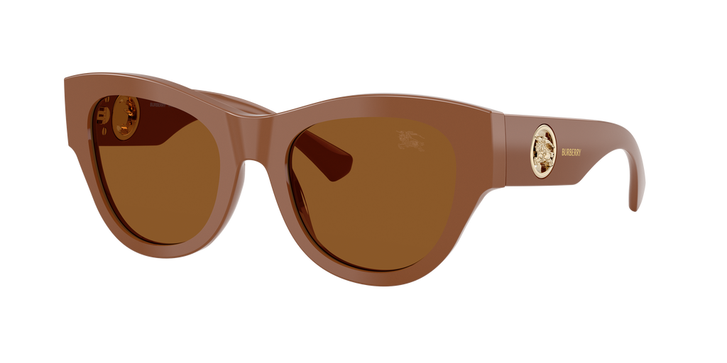 BE4491 - 422273 sunglasses - view 3