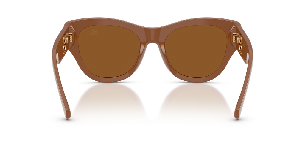 BE4491 - 422273 sunglasses - view 4
