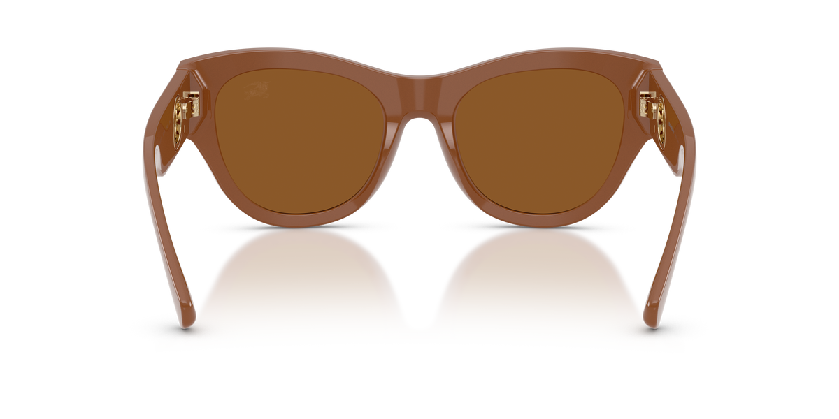 BE4491 - 422273 sunglasses - view 4