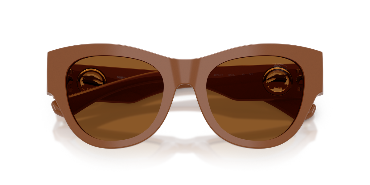 BE4491 - 422273 sunglasses - view 5
