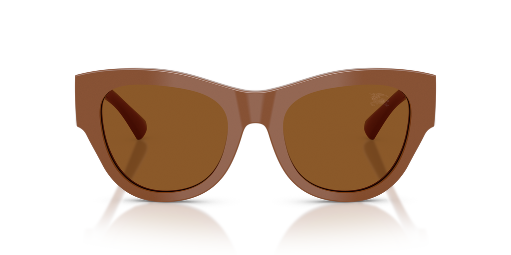 BE4491 - 422273 sunglasses - view 6