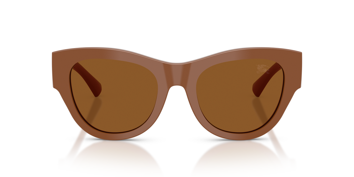 BE4491 - 422273 sunglasses - view 6